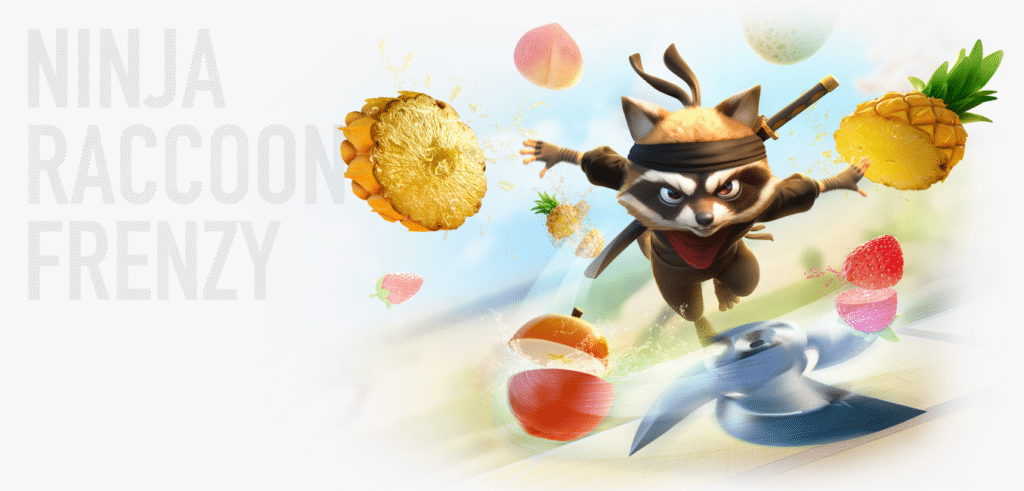 Ninja Raccoon Frenzy