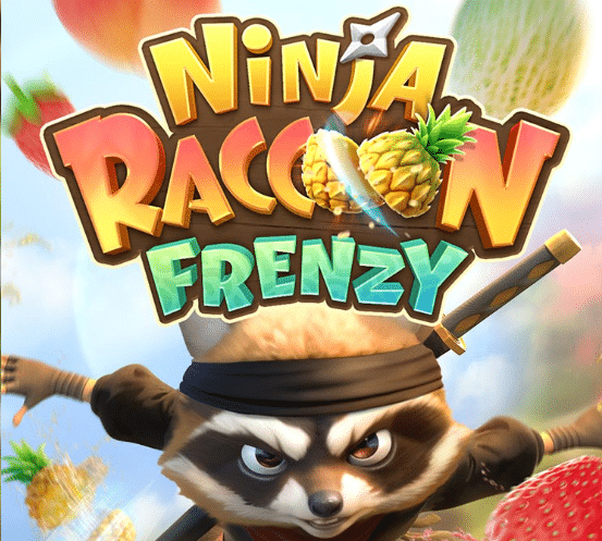 Ninja Raccoon Frenzy